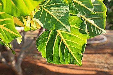 《武装突袭3》发售12年后 终于支持CPU多线程