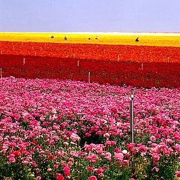 《半条命3》真在做了？更多泄露公开：不是VR完整新作