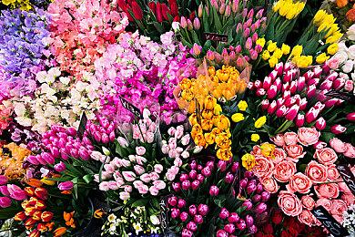 复古风第一人称射击游戏《超越堡垒》现已正式推出 获特别好评